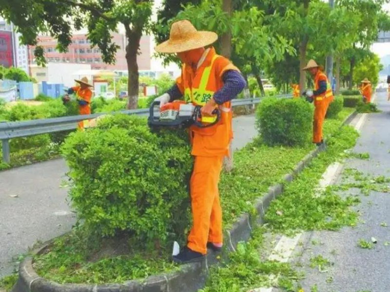 園林綠化事業(yè)部